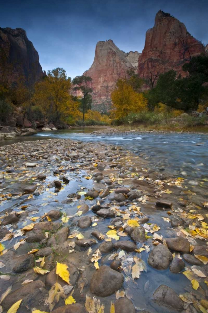UT, Zion NP The Sentinel and the Virgin River art print by Nancy Rotenberg for $57.95 CAD