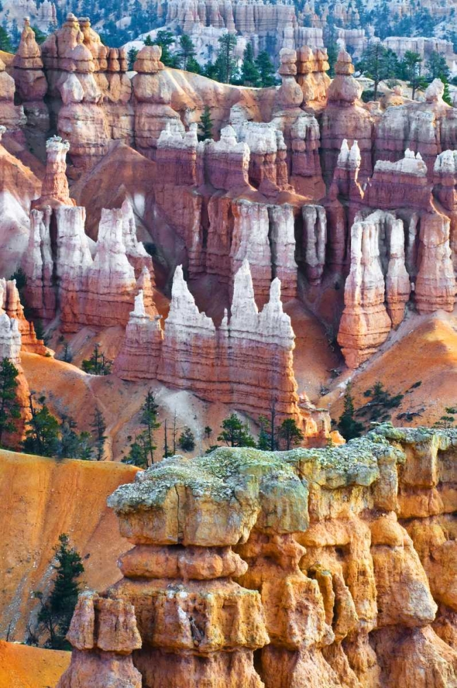 USA, Utah Hoodoo formations in Bryce Canyon NP art print by Nancy Rotenberg for $57.95 CAD