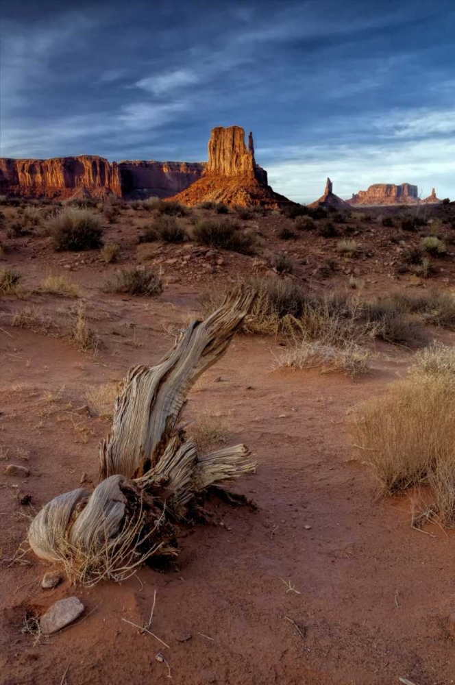 Utah, Monument Valley Eroded rock formations art print by Jay OBrien for $57.95 CAD