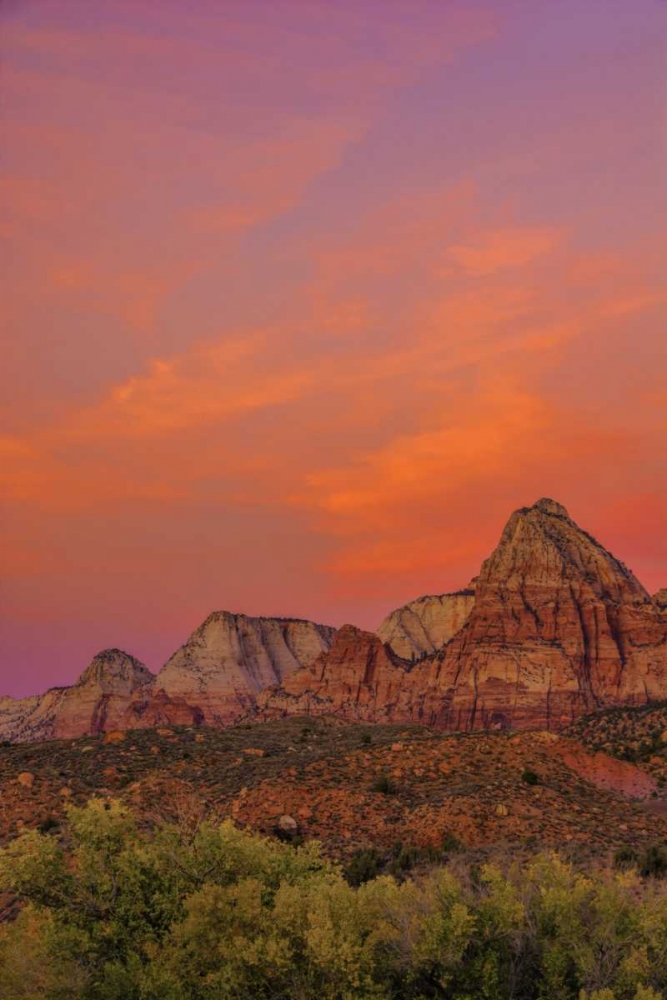 USA, Utah, Zion NP Mountain landscape art print by Jay OBrien for $57.95 CAD