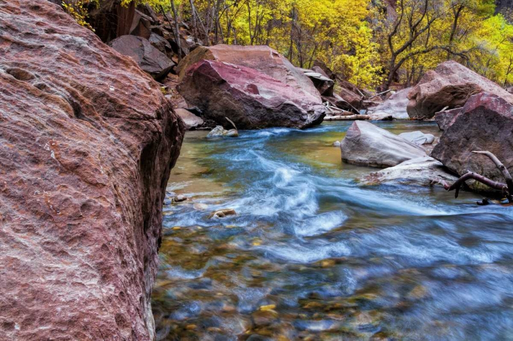 USA, Utah, Zion NP Stream in autumn landscape art print by Jay OBrien for $57.95 CAD