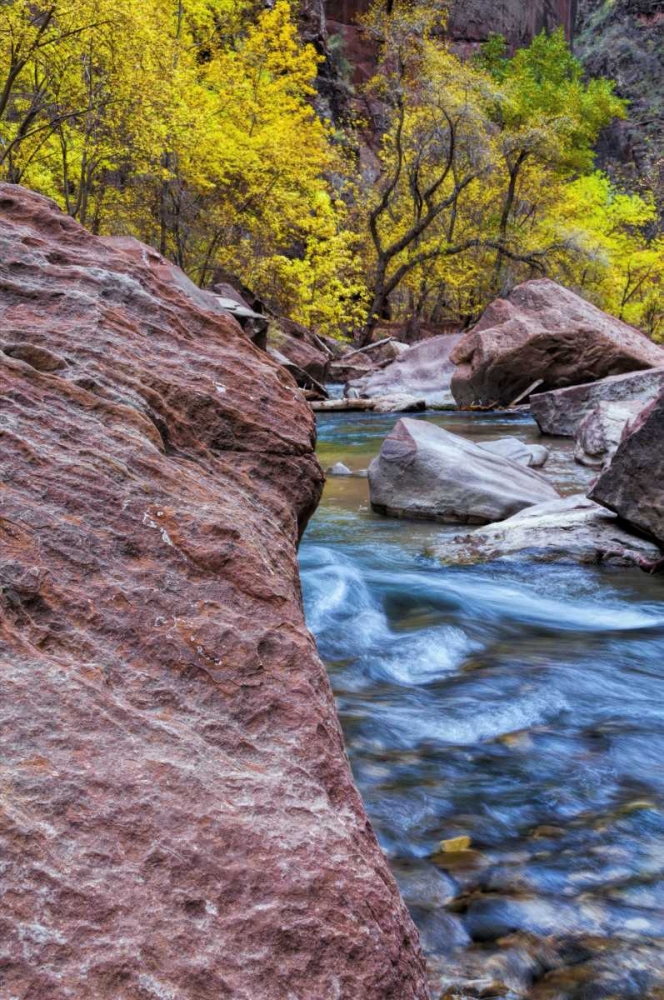 USA, Utah, Zion NP Stream in autumn landscape art print by Jay OBrien for $57.95 CAD