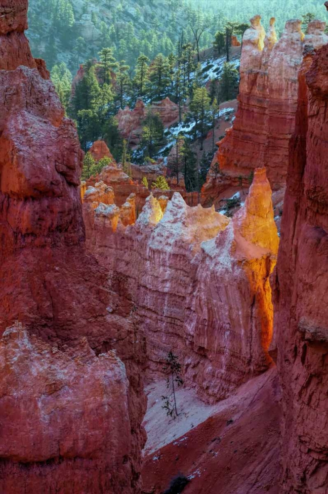 USA, Utah, Bryce Canyon NP Close-up of hoodoos art print by Jay OBrien for $57.95 CAD