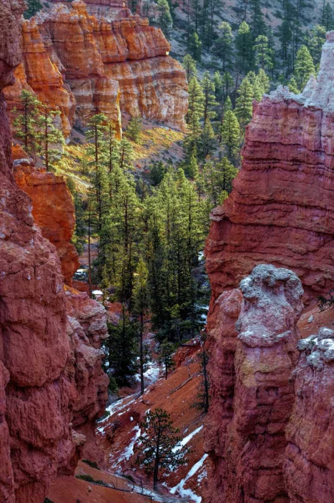 USA, Utah, Bryce Canyon NP Close-up of hoodoos art print by Jay OBrien for $57.95 CAD
