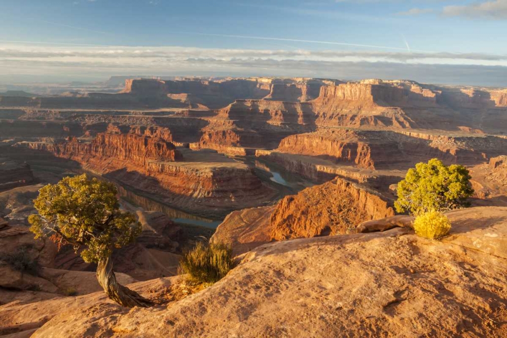 Utah, Dead Horse Point Sunrise on Colorado River art print by Cathy and Gordon Illg for $57.95 CAD