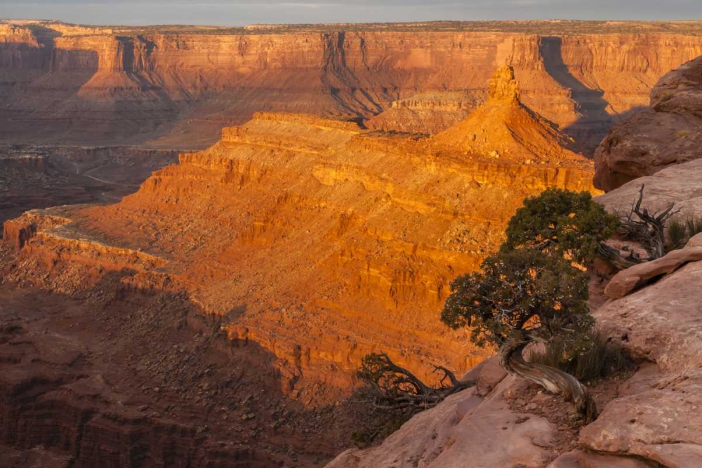 Utah, Dead Horse Point SP Sunrise on canyon art print by Cathy and Gordon Illg for $57.95 CAD