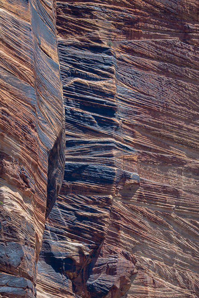 Layers of sedimentary rock edge the main highway that bisects Zion National Park. art print by Betty Sederquist for $57.95 CAD