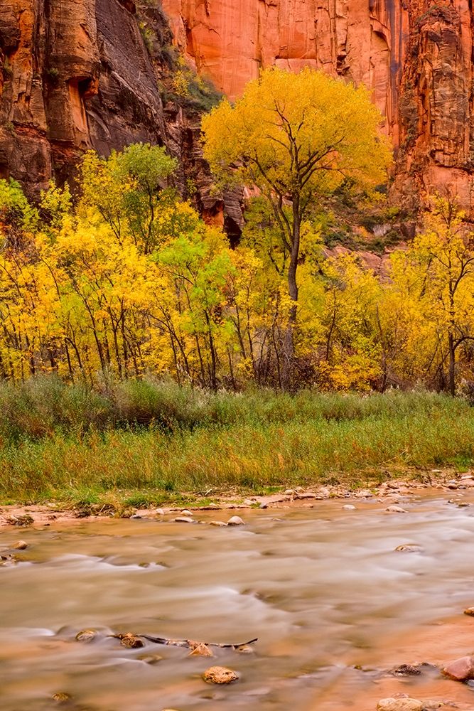 Zion National Park-Fall Colors art print by George Theodore for $57.95 CAD