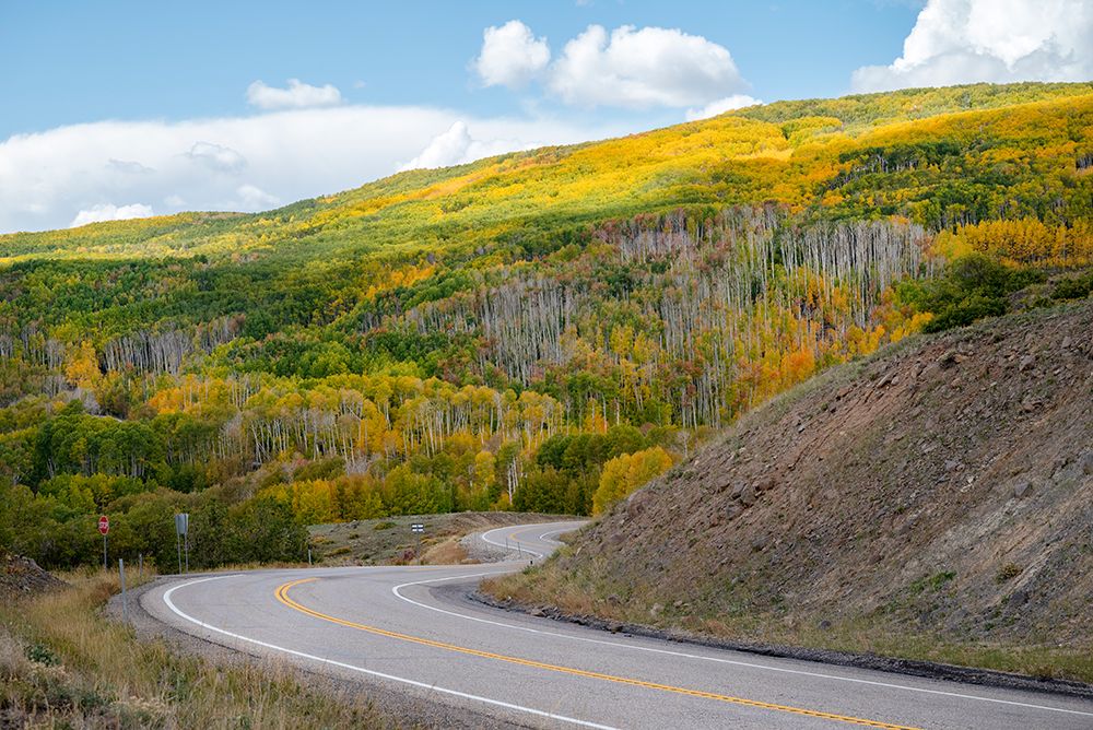 USA-Utah Highway winding through Dixie National Forest-Aspen Fall colors art print by Janell Davidson for $57.95 CAD