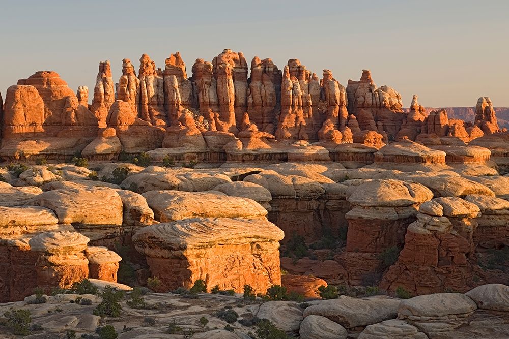 UT-Canyonlands National Park-The Needle Rock spires and grabens at Chester Park art print by Jamie and Judy Wild for $57.95 CAD