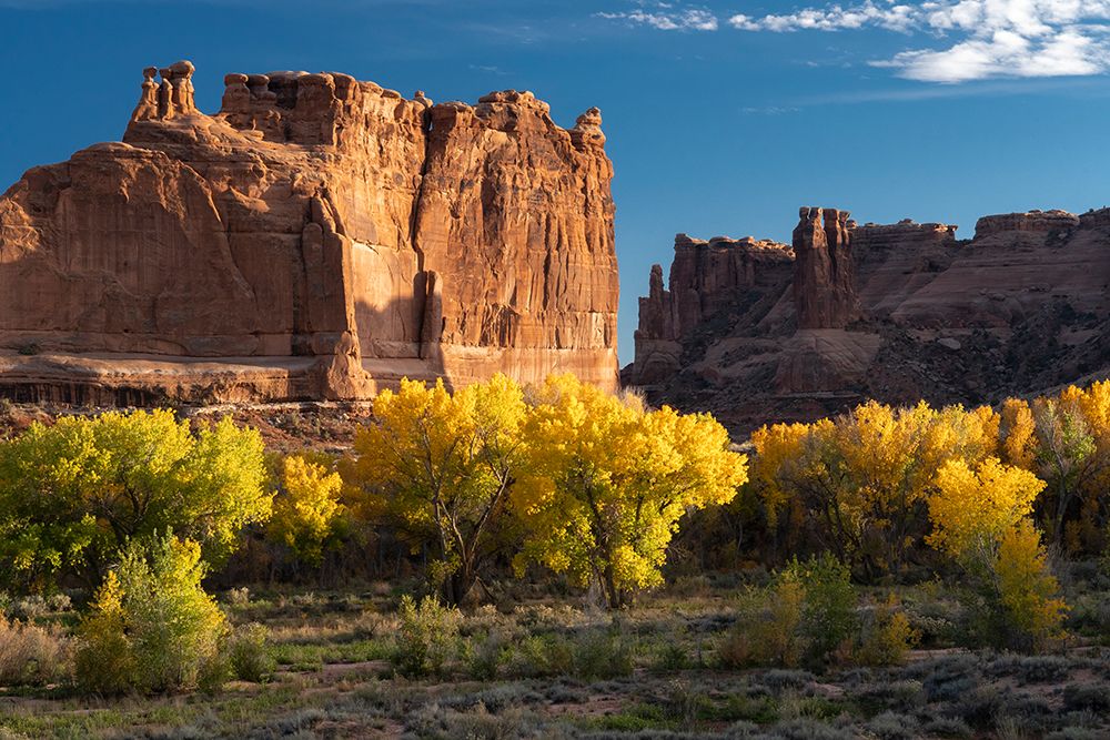 USA-Utah. Autumn cottonwoods and the Three Gossips at sunset-Arches National Park art print by Judith Zimmerman for $57.95 CAD