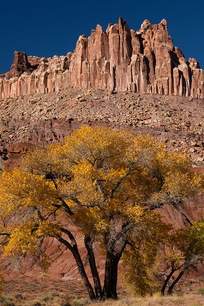 USA-Utah. The Castle-geological features and autumn foliage-Capitol Reef National Park art print by Judith Zimmerman for $57.95 CAD