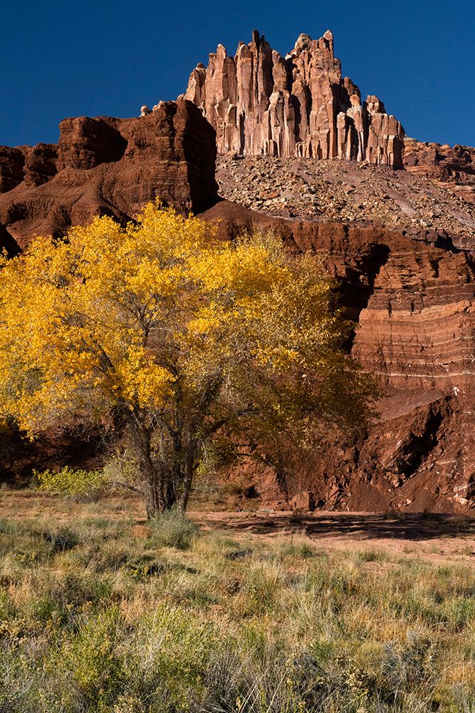 USA-Utah. The Castle-geological features and autumn foliage-Capitol Reef National Park art print by Judith Zimmerman for $57.95 CAD