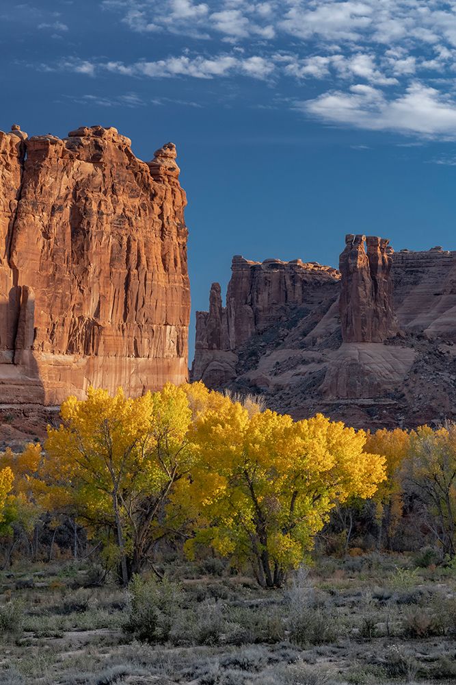 USA-Utah. Autumn cottonwoods and the Three Gossips at sunset-Arches National Park art print by Judith Zimmerman for $57.95 CAD