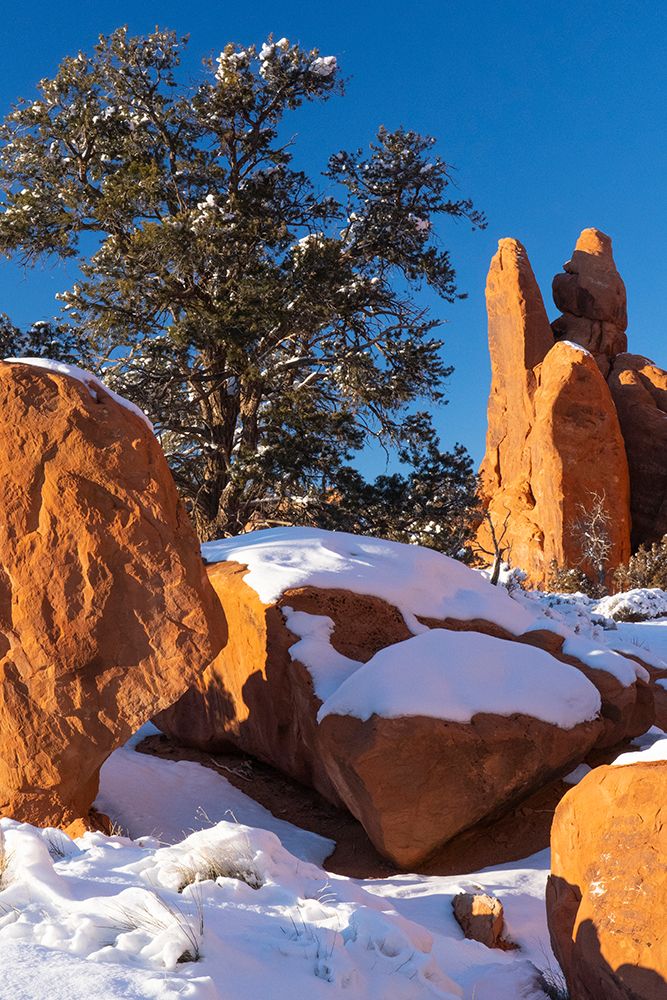 USA-Utah Winter snowfall in Arches National Park art print by Judith Zimmerman for $57.95 CAD
