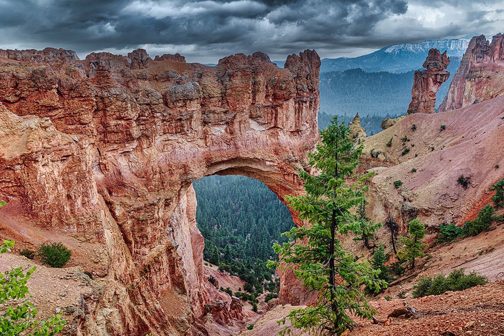Bryce Canyon National Park art print by Michael Schertz for $57.95 CAD