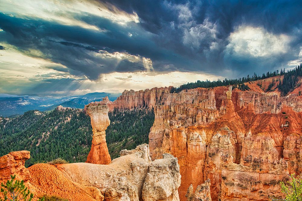Bryce Canyon National Park art print by Michael Schertz for $57.95 CAD