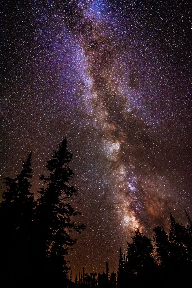 Milky Way over Cedar Breaks National Monument-Utah-USA art print by Russ Bishop for $57.95 CAD