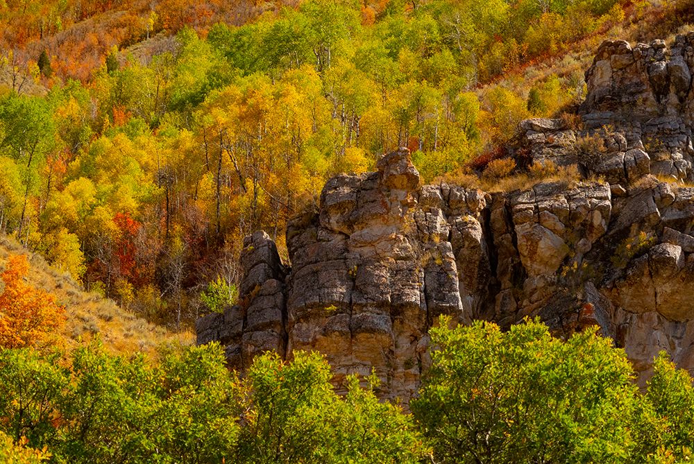 USA-Utah-Highway 89 and canyon walls of Logan pass with fall colors art print by Sylvia Gulin for $57.95 CAD