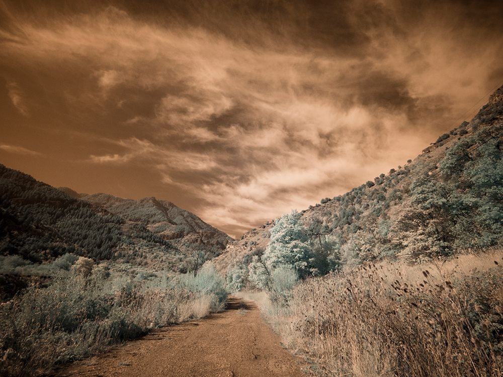 USA-Utah-Infrared of backroad in the Logan Pass area art print by Terry Eggers for $57.95 CAD
