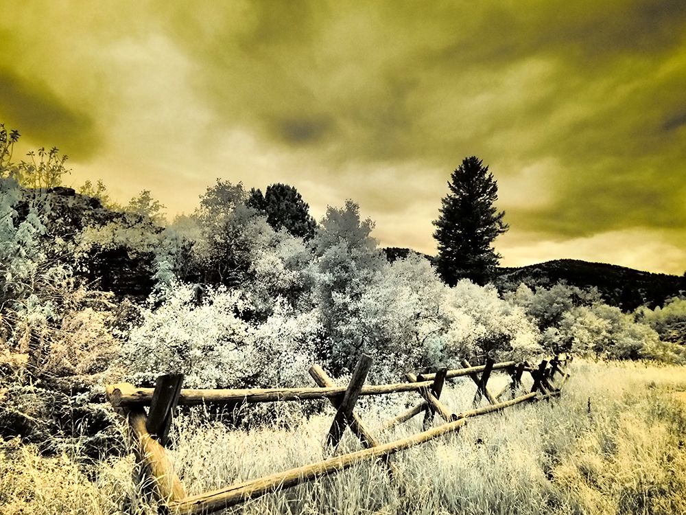 USA-Utah-Infrared of the Logan Pass area with split rai fence art print by Terry Eggers for $57.95 CAD