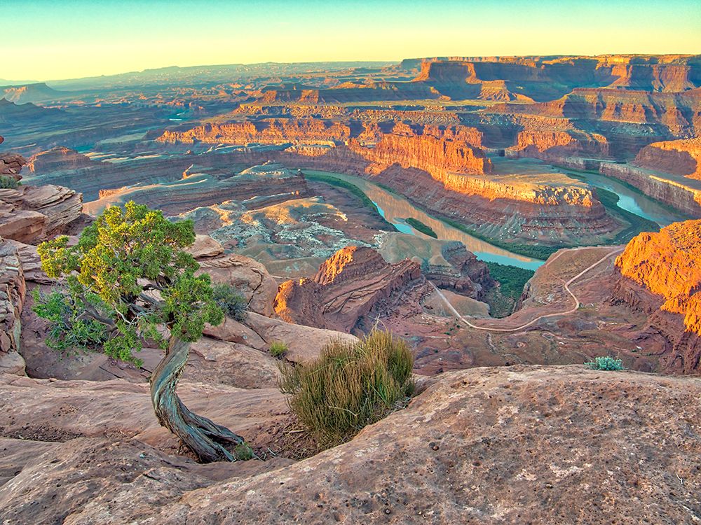USA-Utah Dead Horse Point State Park-sunrise view of the canyon below art print by Terry Eggers for $57.95 CAD