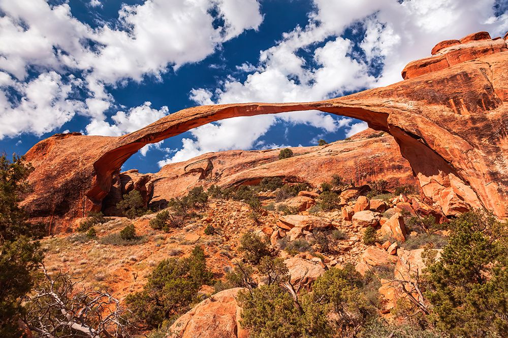 Arches National Park-Moab-Utah-USA. art print by William Perry for $57.95 CAD