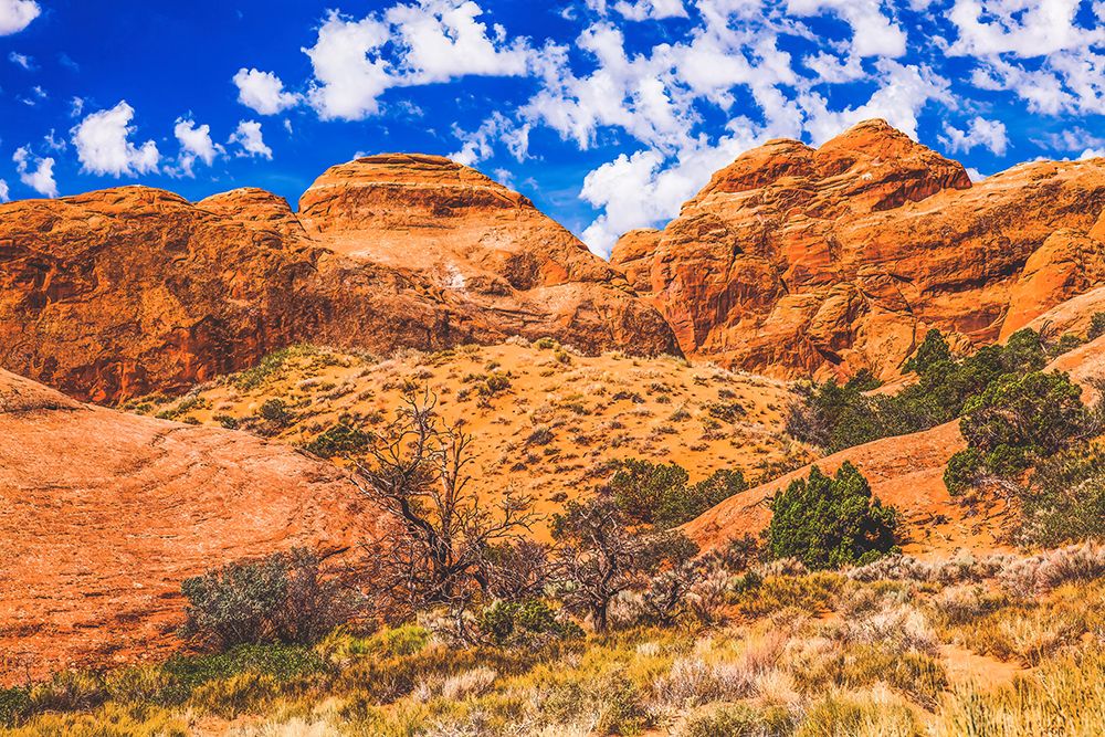 Devils Garden-Arches National Park-Moab-Utah-USA. art print by William Perry for $57.95 CAD