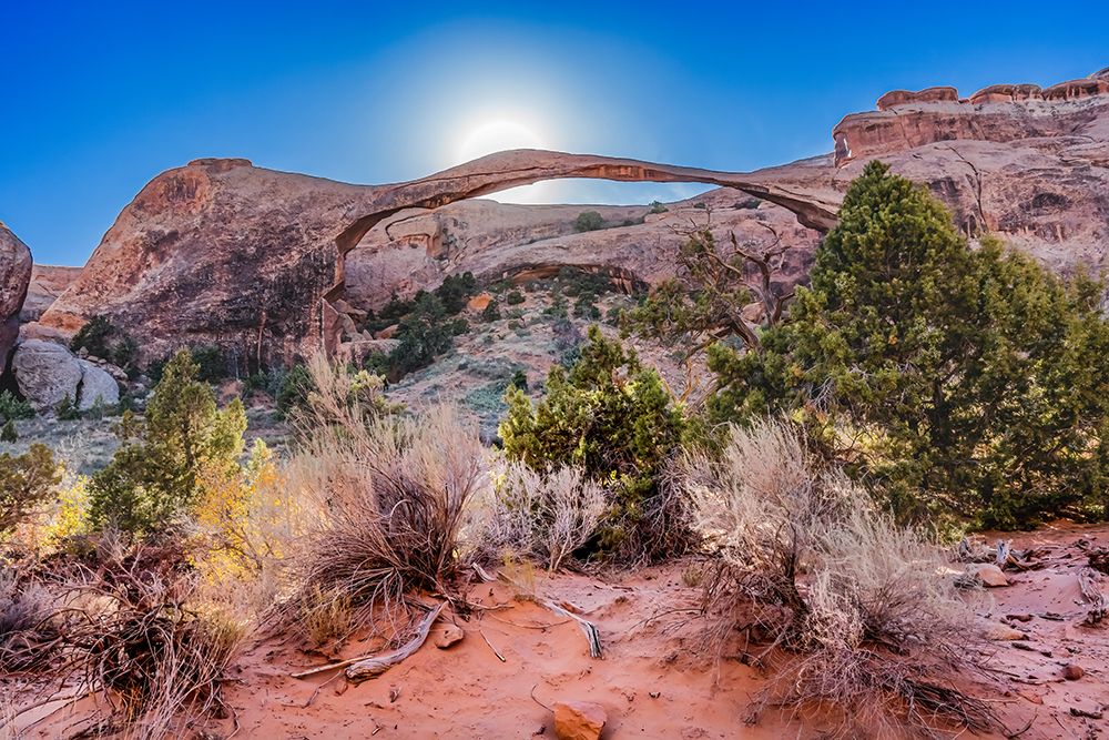 Devils Garden Arches National Park-Moab-Utah-USA. art print by William Perry for $57.95 CAD