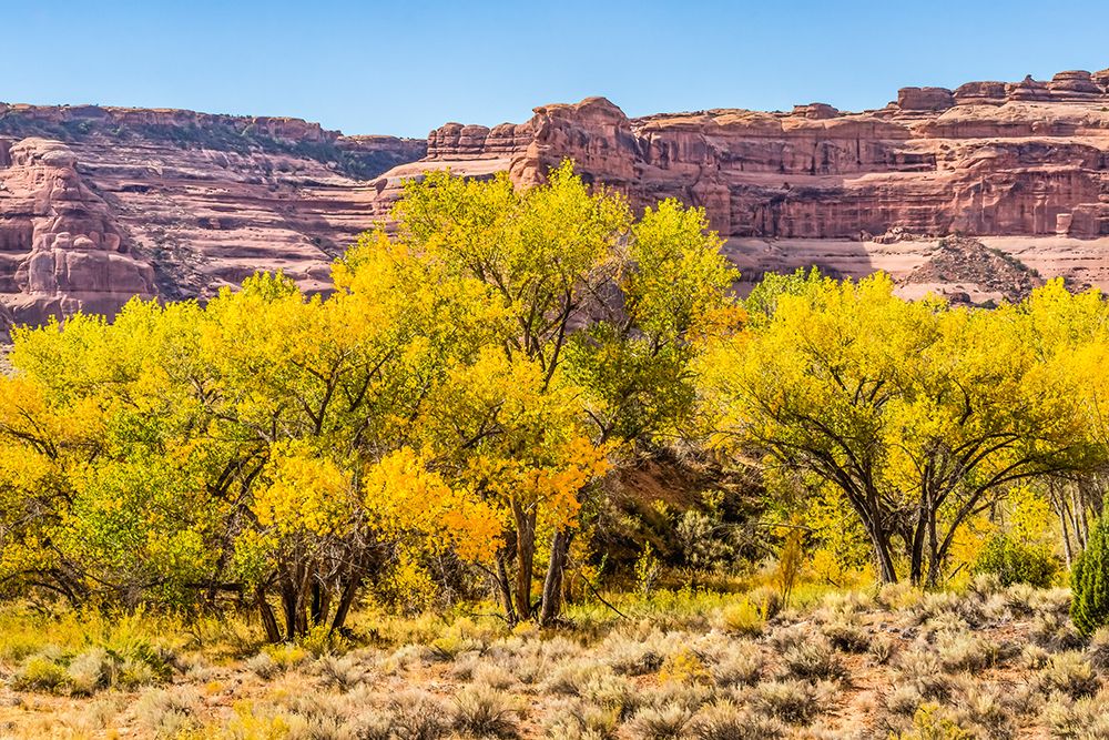Autumn leaves-Arches National Park-Moab-Utah-USA. art print by William Perry for $57.95 CAD