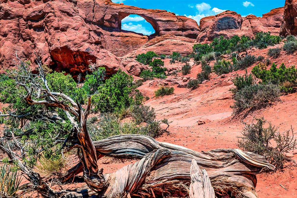 Skyline Arch-Arches National Park-Moab-Utah-USA. art print by William Perry for $57.95 CAD