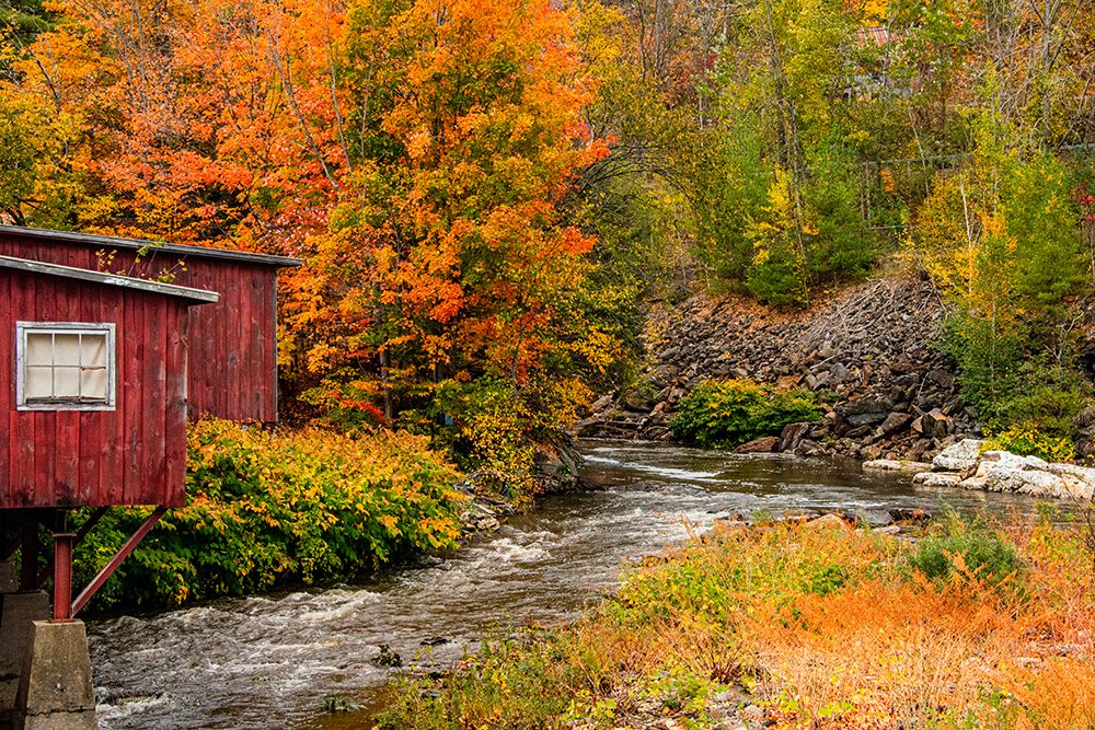 USA-Vermont-Stowe-red mill on Little River as it flows south of Stowe to Winooski River-fall foliage art print by Allison Jones for $57.95 CAD