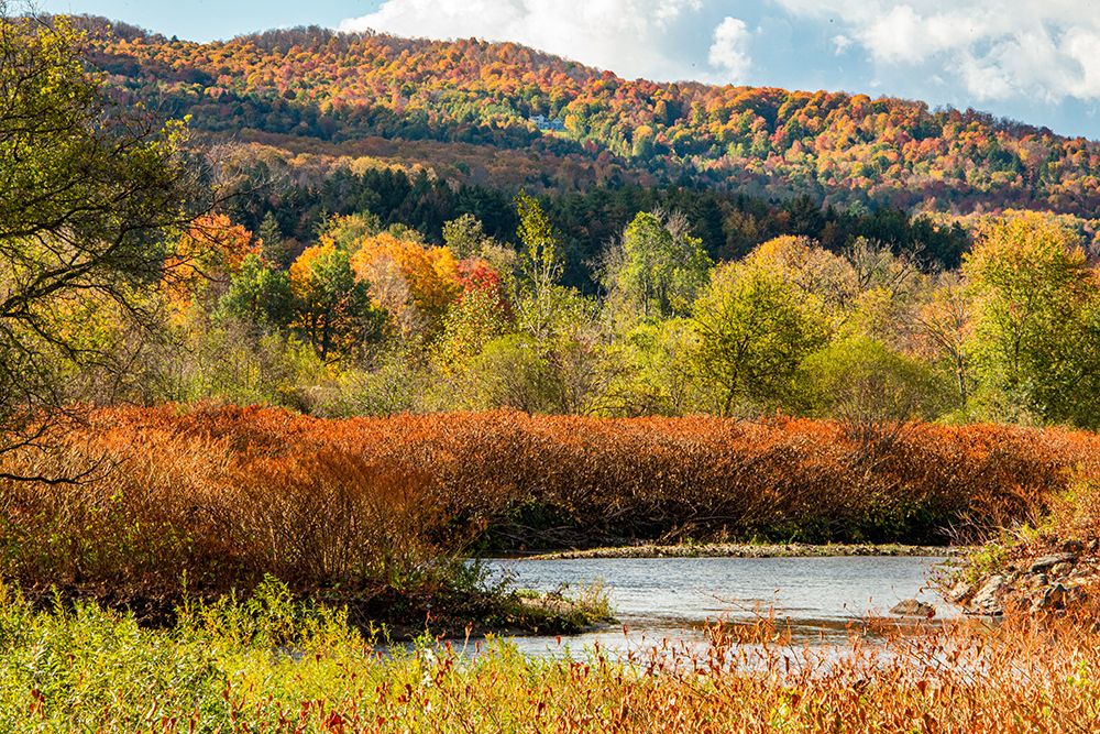 USA-Vermont-Stowe Fall foliage along Little River art print by Allison Jones for $57.95 CAD