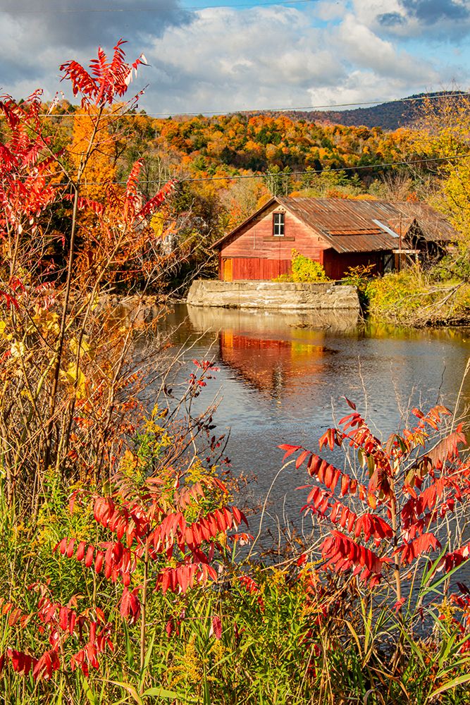 USA-Vermont-Moscow-mill on Little River pond there-fall foliage art print by Allison Jones for $57.95 CAD