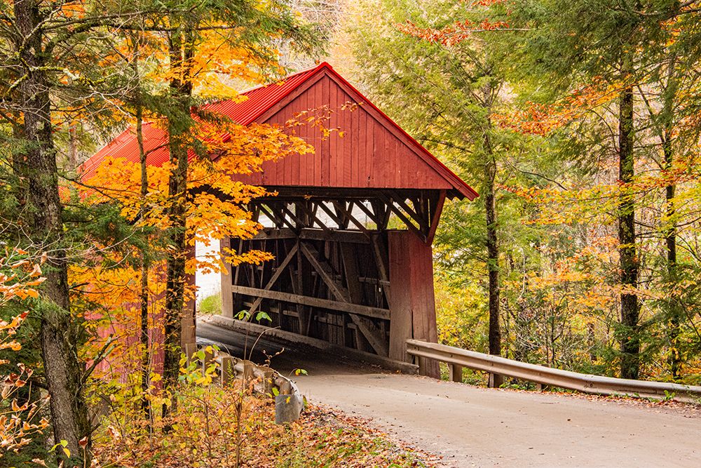 USA-Vermont-Stowe-Sterling Valley Road covered bridge in fall foliage art print by Allison Jones for $57.95 CAD