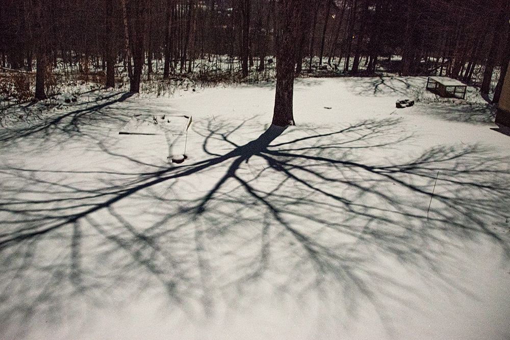 USA-Vermont-Morrisville-moon shadow of ash tree on snow-covered lawn art print by Allison Jones for $57.95 CAD