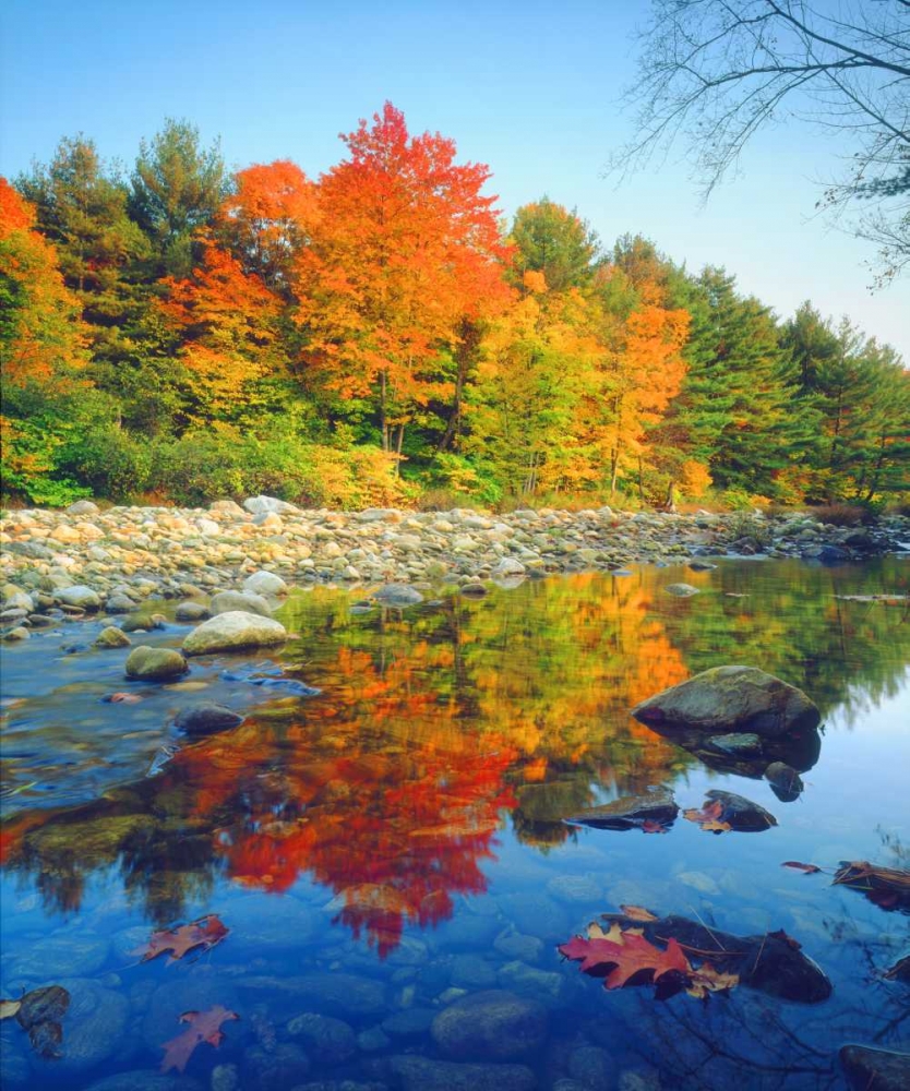Vermont, Autumn reflecting in a stream art print by Christopher Talbot Frank for $57.95 CAD