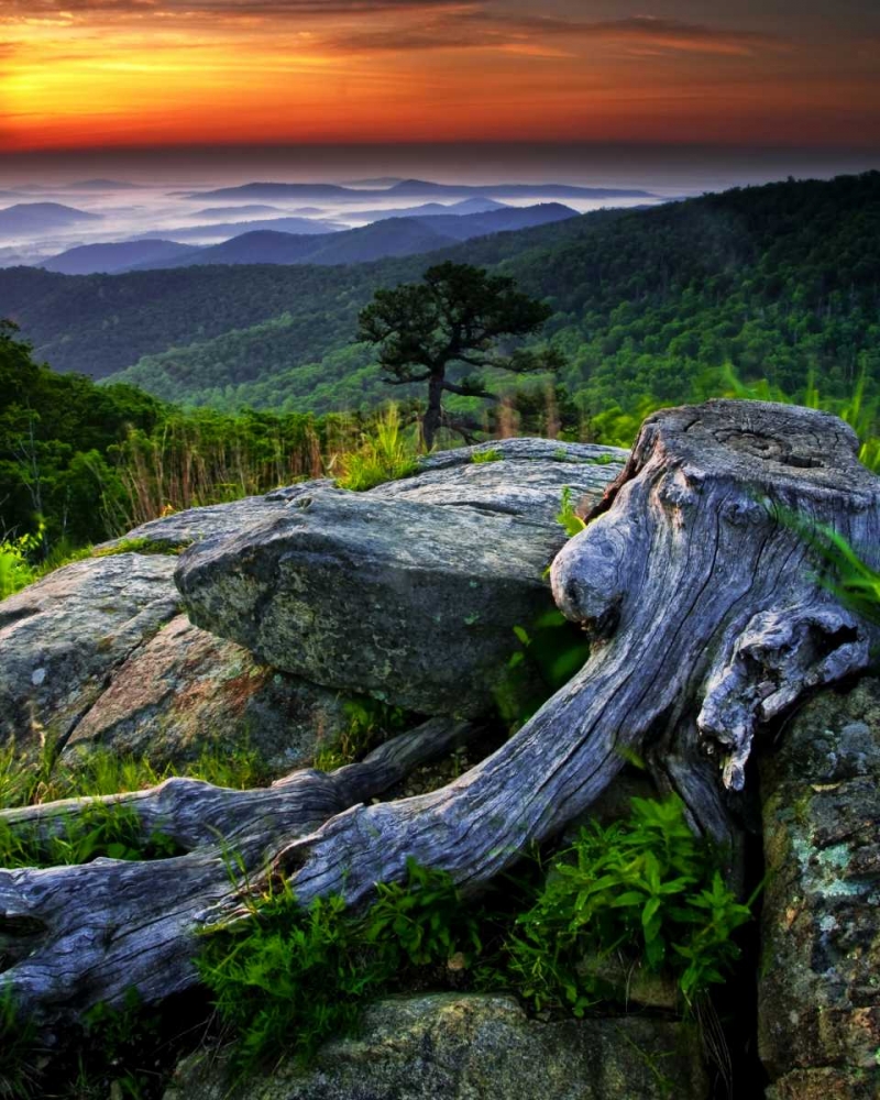 VA, Shenandoah NP Overlook from Skyline Drive art print by Jay OBrien for $57.95 CAD