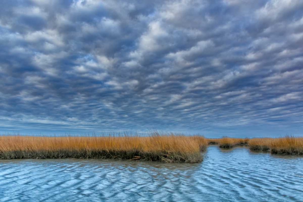 Virginia Cloudy scenic on Chincoteague Island art print by Jay OBrien for $57.95 CAD