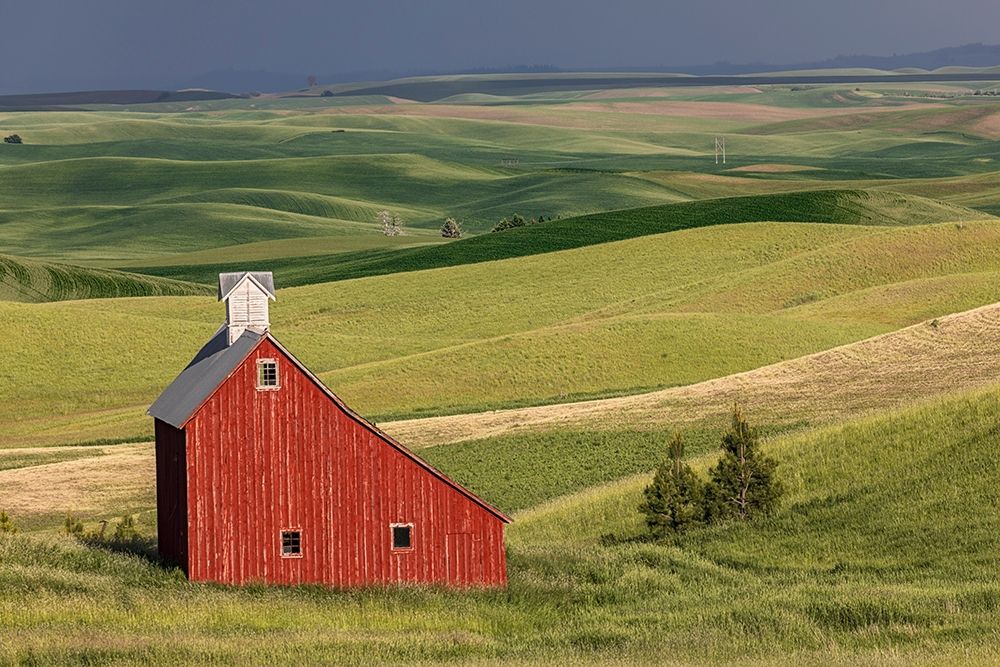 Red barn in valley of rolling farm fields-Palouse agricultural region of western Idaho art print by Adam Jones for $57.95 CAD