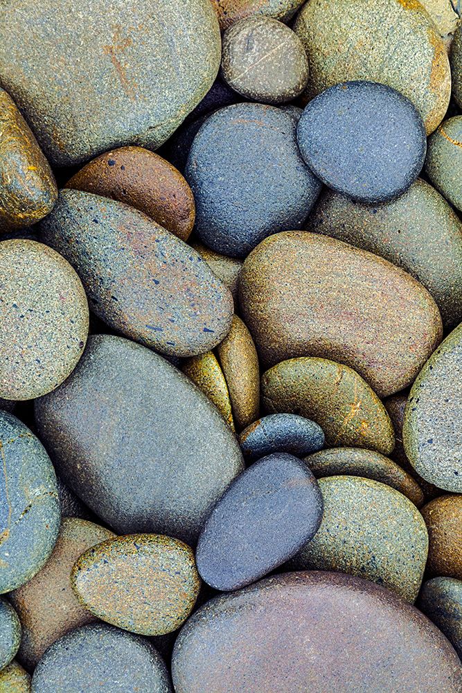 Pattern of smooth rounded stones on beach-Olympic National Park-Washington State art print by Adam Jones for $57.95 CAD