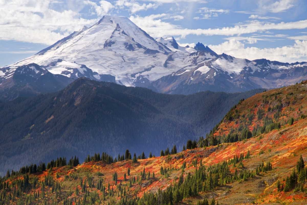 WA, Mount Baker from Yellow Aster Butte Trail art print by Don Paulson for $57.95 CAD