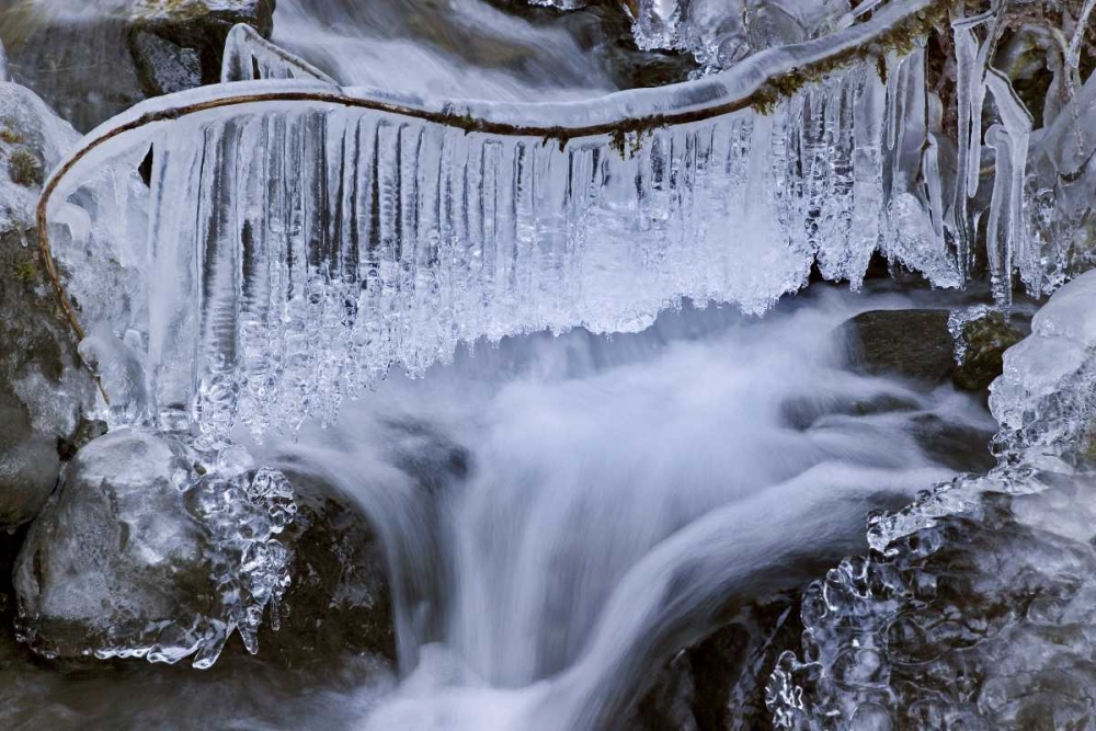 Washington, Olympic NP Icy winter waterfall art print by Don Paulson for $57.95 CAD