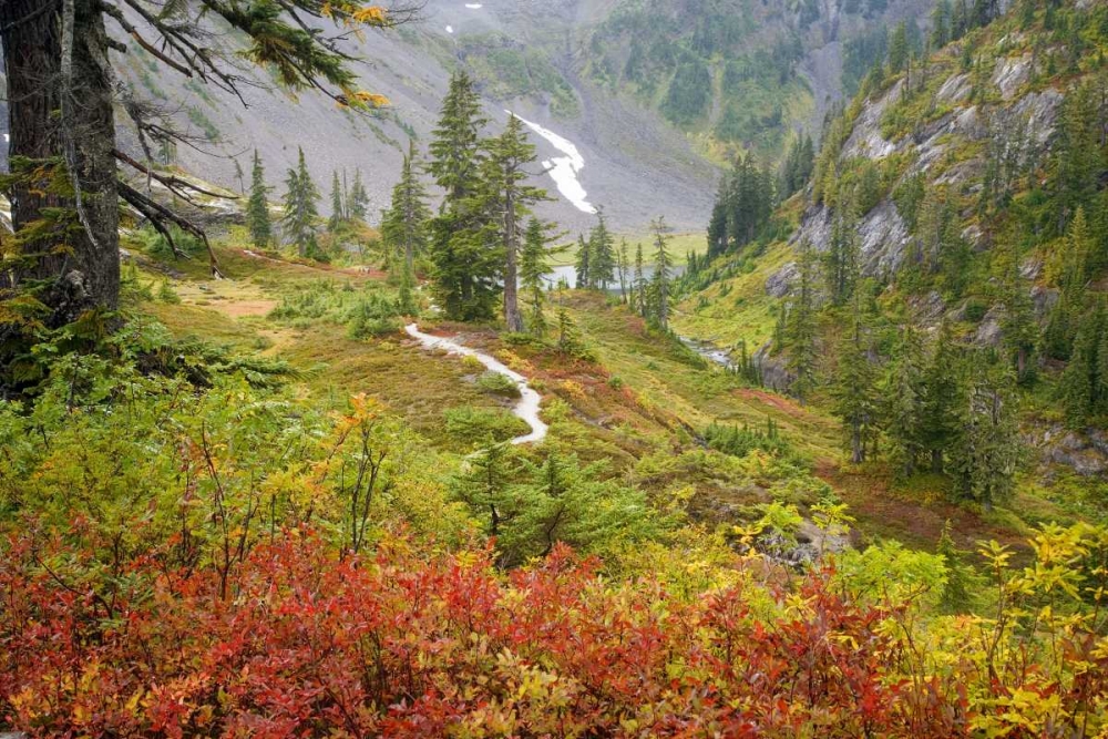 WA, Mt Baker Wilderness, Fall in Heather Meadows art print by Don Paulson for $57.95 CAD