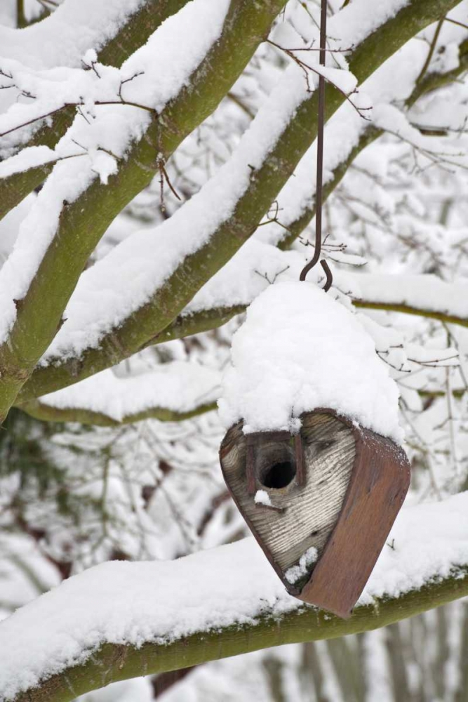 WA, Seabeck Heart-shaped bird house in snow art print by Don Paulson for $57.95 CAD