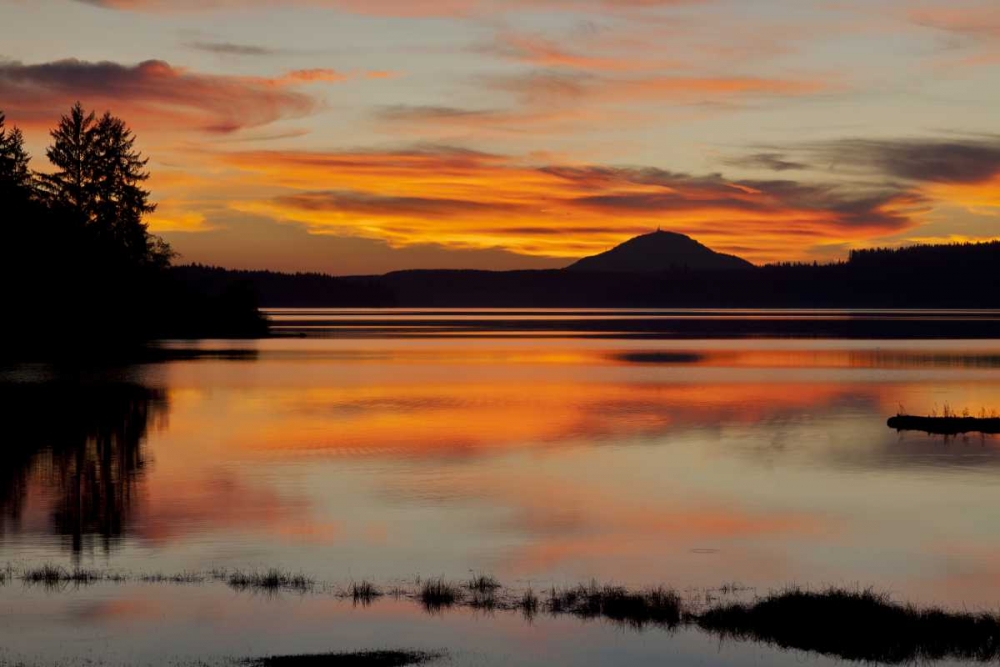 USA, Washington Sunset on Lake Quinault art print by Don Paulson for $57.95 CAD