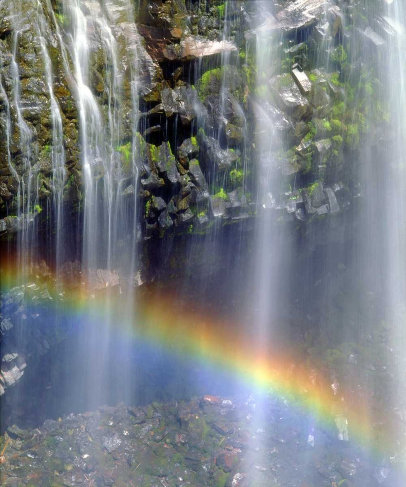 WA, Mount Rainer NP Rainbow at a waterfall art print by Christopher Talbot Frank for $57.95 CAD