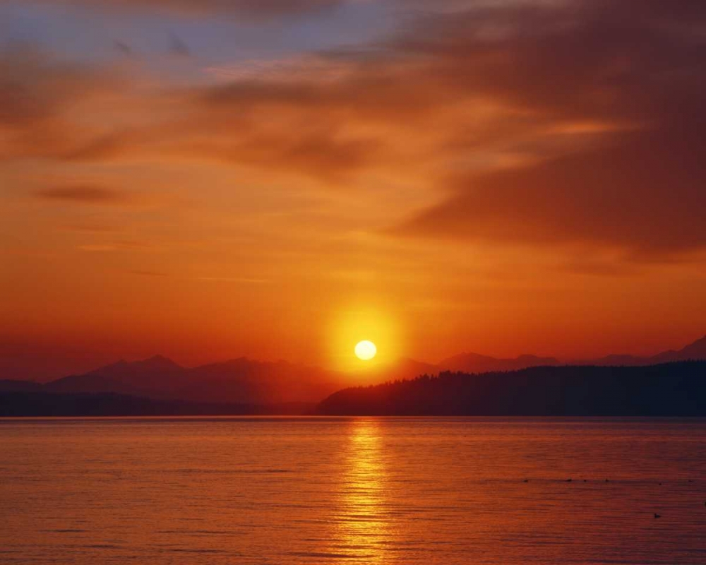 WA, Sunset over the Olympic Mountains and Sound art print by Steve Terrill for $57.95 CAD