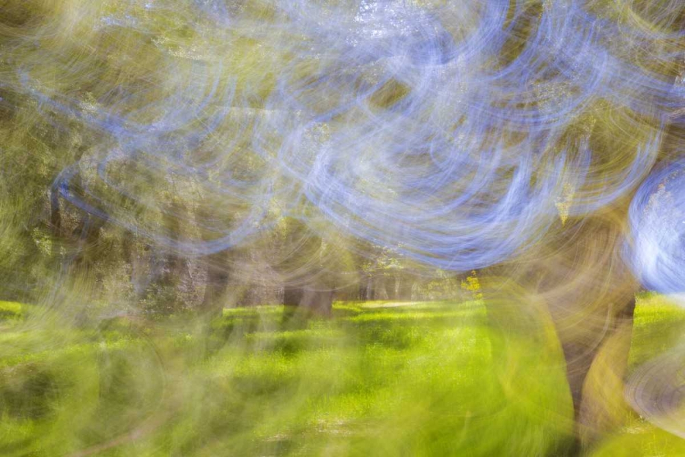 Mexico, Tecate Motion blurred outside abstract art print by Don Paulson for $57.95 CAD
