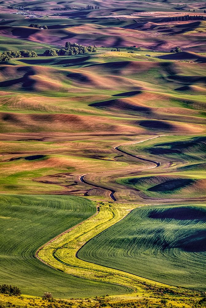 Washington State-Palouse Steptoe Butte at sunset  art print by Jaynes Gallery for $57.95 CAD